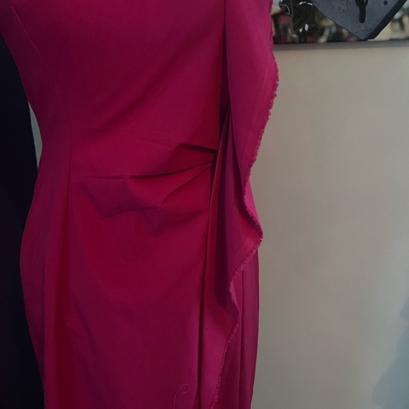Rachel Roy Sleeveless Fuchsia Dress NWT - Picture 3 of 9
